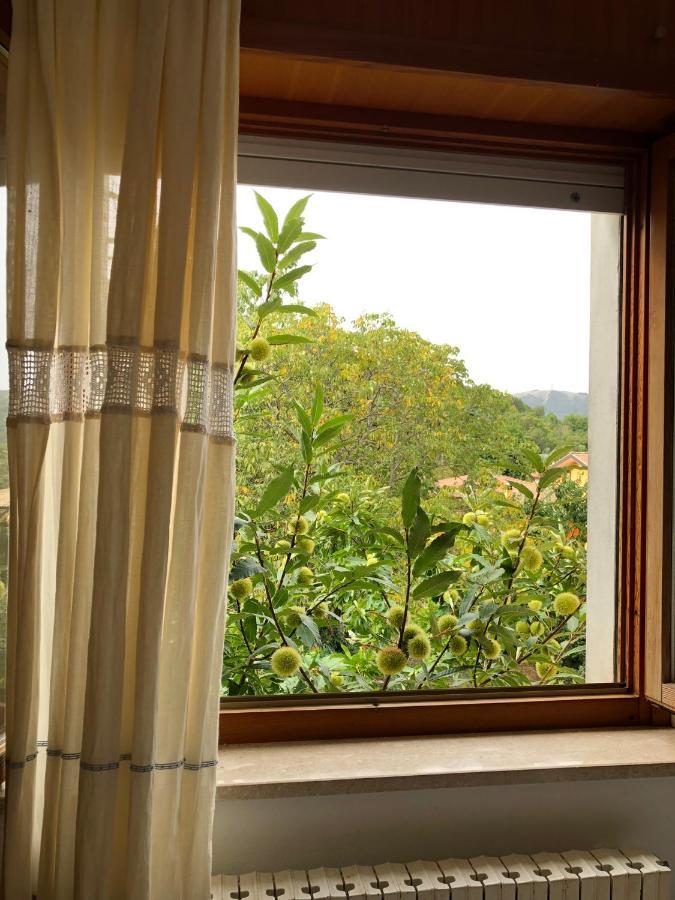 Hotel La Capannina อาริตโซ ภายนอก รูปภาพ
